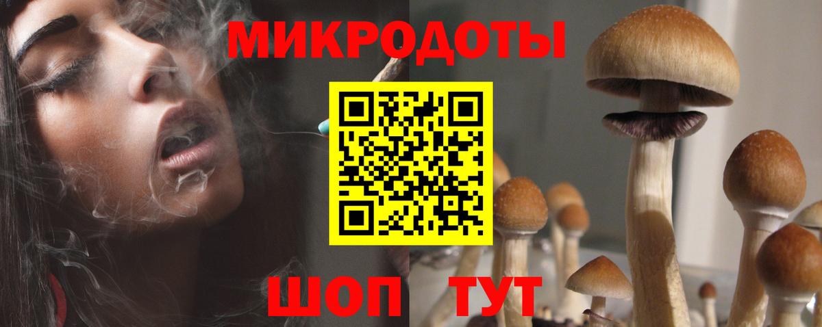 Сегежа  Псилоцибиновые грибы прущие грибы  Вход с VPN  где найти   Галлюциногенные грибы Psilocybine cubensis 
